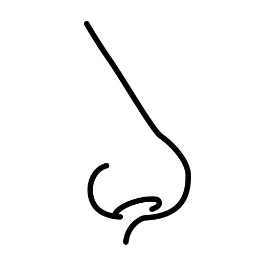鼻